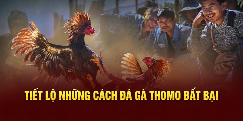 cach-da-ga-thomo-1